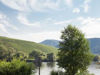 Holiday Home In Briedel Near River Mosel
