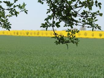 Quaint Apartment In Dargun Mecklenburg With Swimming Pool