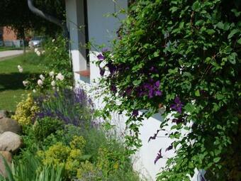 Quaint Apartment With Swimming Pool In Mecklenburg