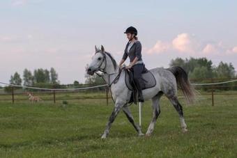 Hostal Triple Room Bilje 14318d