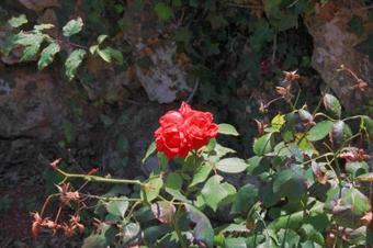 Apartment Savar 8079c