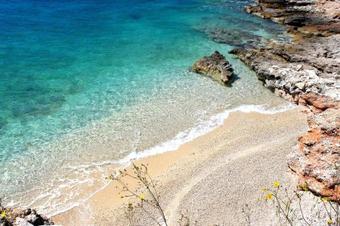 Apartment Zavala 8773c