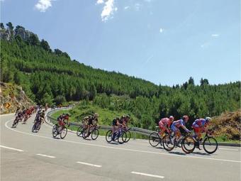 Apartment Zivogosce 31