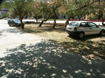 Apartments By The Sea Zman (dugi Otok) - 891