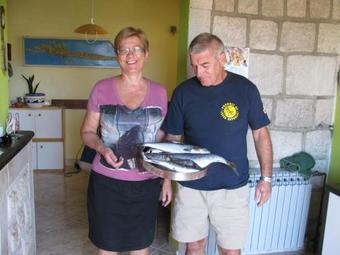 Hostal Guest House Sucuraj