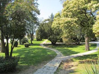 Apartment In Pula/istrien 10864