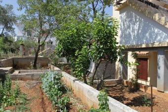 Apartments With A Parking Space Sali (dugi Otok) - 8152