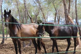Rocaplana Club De Campo