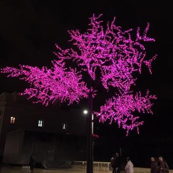 Bed & Breakfast Lo Vela Zen