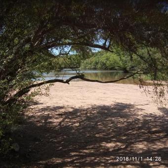 Albergue Cazartes-puma