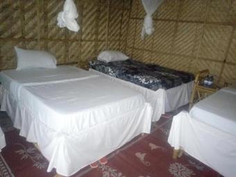 Blue Monkey Tours Kibuye