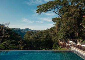 Lodge One&only Nyungwe House
