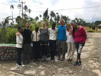 Davinci Gorilla Lodge