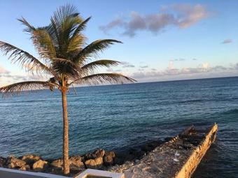 Apartamento David's Place