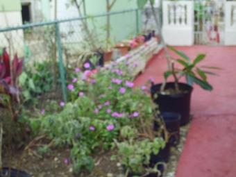 Hotel Lemarida Suites