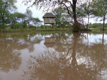 Lodge Suricata Retreat