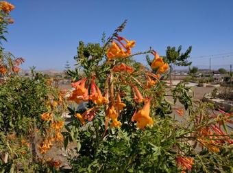 Klirou Hilltop Apartments