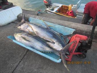 Hostal Coffeeriver Cottages