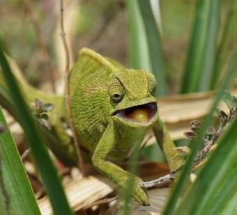 Hotel Mulu Eco Lodge