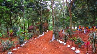 El Chorro Del Carmen