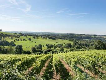 Cozy Farmhouse In Dalhem With Swimming Pool