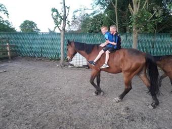 Bed & Breakfast Dotter 17