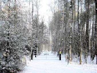Aan De Visbeekvallei