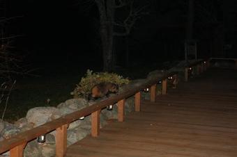 Hostal Tuulingu Guest House