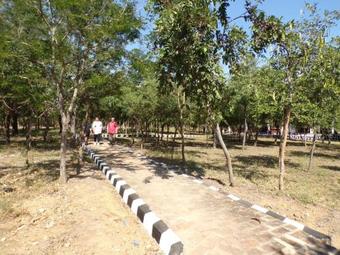 Lodge Voyage Village