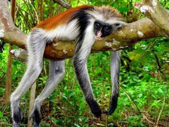 Hotel Samaki Lodge & Spa