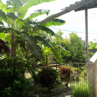 Apartamento Hill View Inn