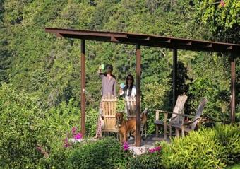 Bed & Breakfast The Guest Suites At Manana Madera