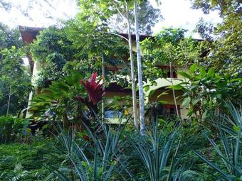Hotel Morrillo Beach Eco Resort