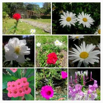 Hostal Valle Paradise