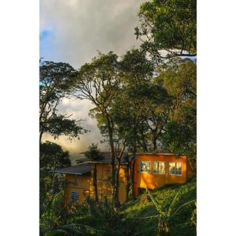 Lost And Found Jungle Hostel