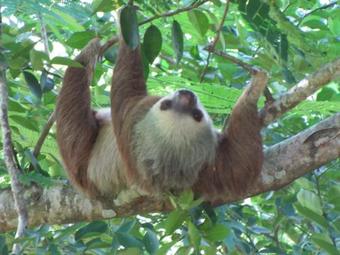 Bed & Breakfast Turtle Beach House