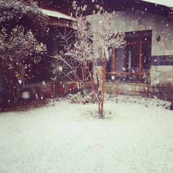 Hotel Hindukush Heights