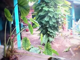 Posada Hostal Dona Mercedes