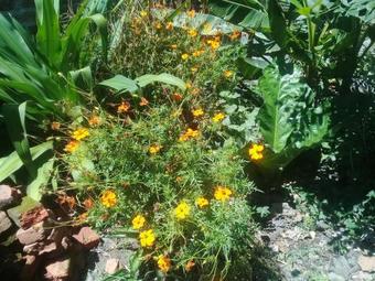 Caba�a La Ensenada