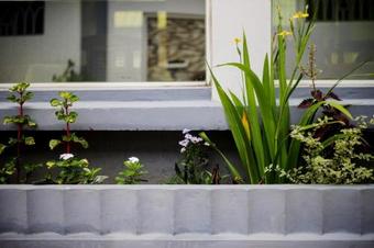 Bed & Breakfast Pizzeria Colisseo B & B