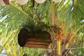 Hostal Los Cocos Beach House, Popoyo