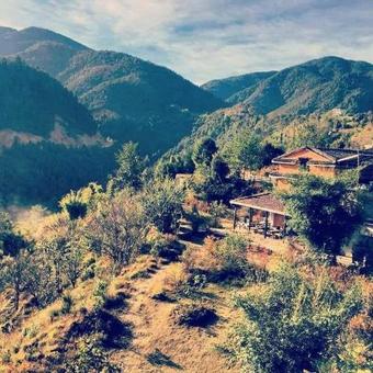 Hotel Kot Danda Agro Resort