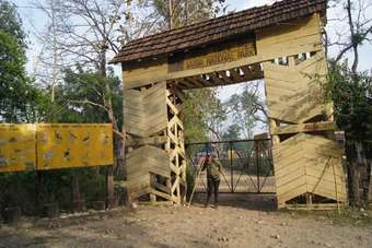 Forest Hideaway Hotel & Cottages