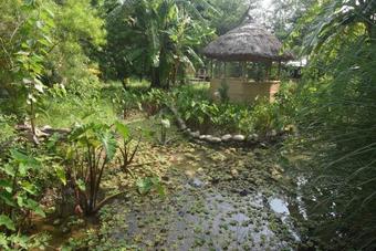 Hotel Wild Trak Adventure