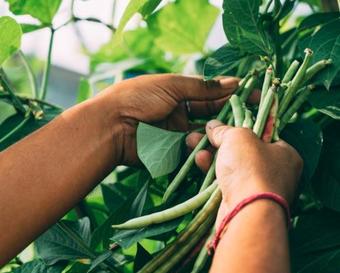 Hostal The Best Homestay Nepal