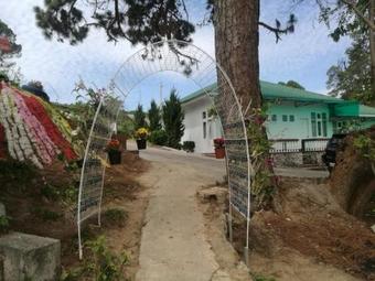 Posada Pine View Inn