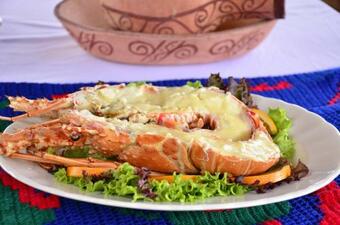 Albergue Rancheria Utta