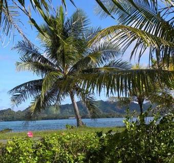 Pacific Treelodge Resort