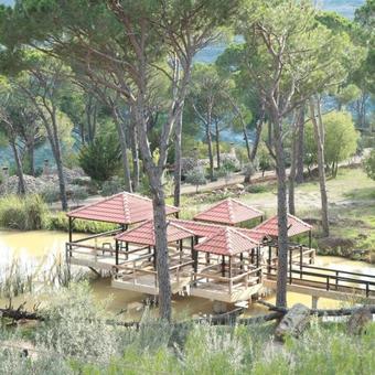 Pineland Hotel And Health Resort