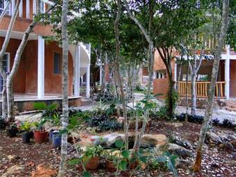 Eco-hotel Nueva Altia